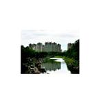 ������ï����