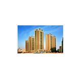 ����ƽ���ͥ