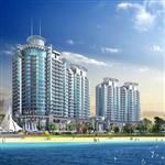 �������ʺ�����