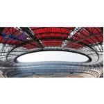 ɽ����������