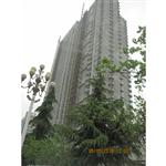 ���������Ժ