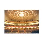 �������ô�����