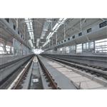 �Ϻ�����ʮһ����