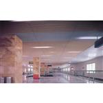 ���ݵ���һ����