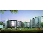 ��ǿ����