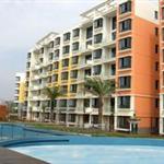 ���������ִ���