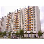 �����°���