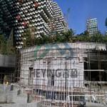 ��������֮����ĿȺ����װ�μ�Ļǽ����