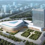 �½��������