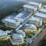 ���꺺������ҽҩ��ҵ������