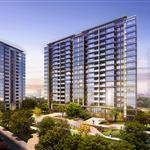 �����������һ��