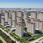 �Ϻ�������˲Ź�Ԣ��Ŀ�����ڣ�