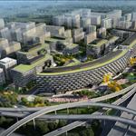 �ٿ�12�ŵؿ��������԰������Ŀ