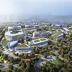 ����������ѩ��С��