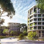 ��������ӥ��ɭ��