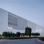 �ζ���������