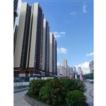 �������츮